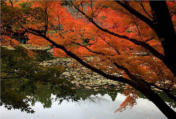 京都行 龍安寺 日光微笑的部落格 痞客邦 京都行 龍安寺 日光微笑的部落格 痞客邦