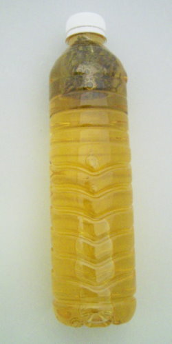 icetea01.JPG icetea01.JPG