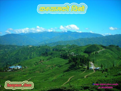 teagarden04.jpg teagarden04.jpg