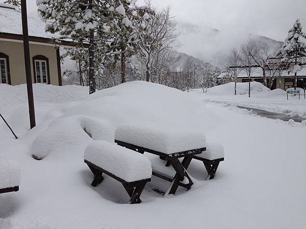白雪 白雪