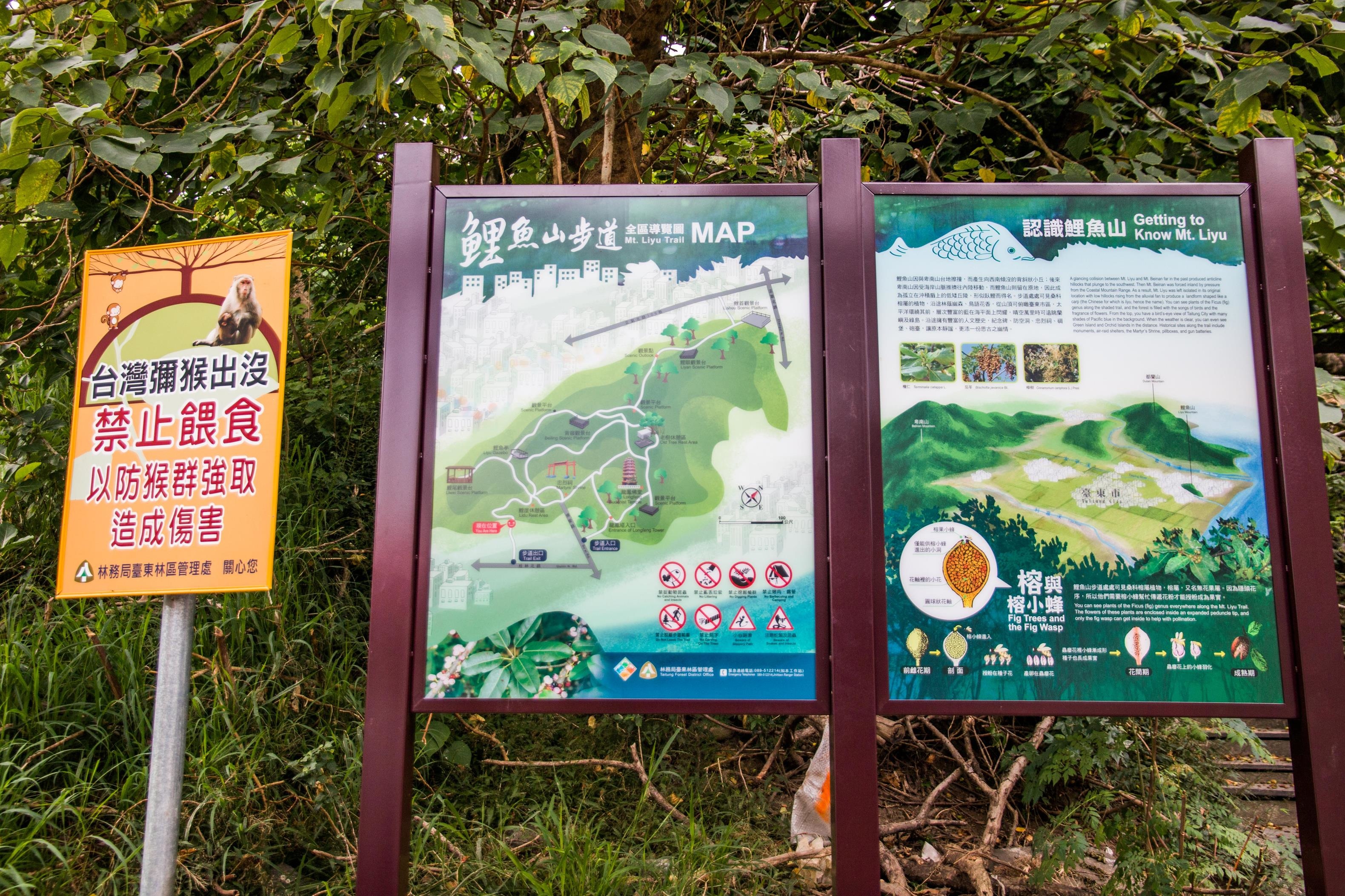 IMG_8655 (Copy).jpg IMG_8655 (Copy).jpg