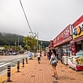 IMG_5055 (Copy).jpg