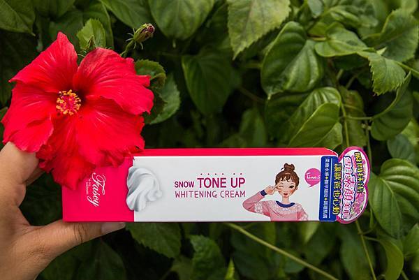 IMG_1224 (Copy).jpg IMG_1224 (Copy).jpg