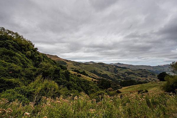 IMG_2600 (Copy).jpg IMG_2600 (Copy).jpg