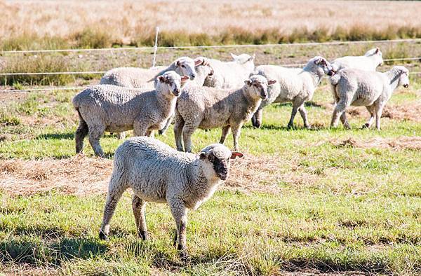 IMG_2724 (Copy).jpg IMG_2724 (Copy).jpg