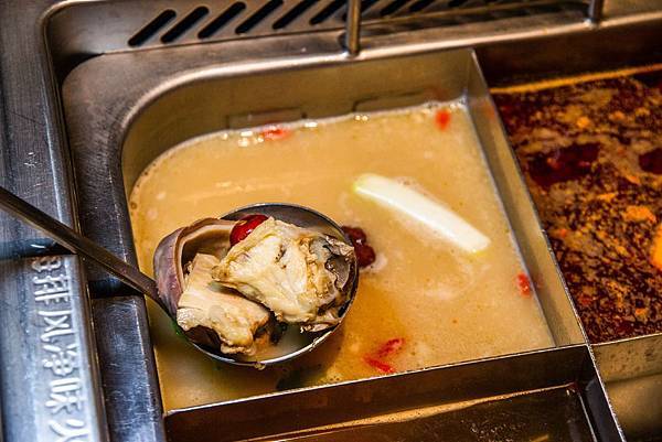 IMG_1950.jpg IMG_1950.jpg