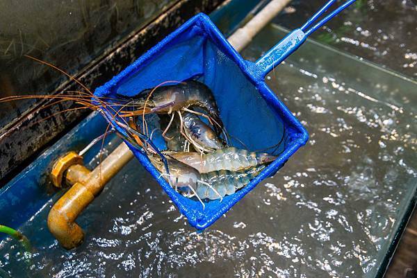 IMG_7675.JPG IMG_7675.JPG