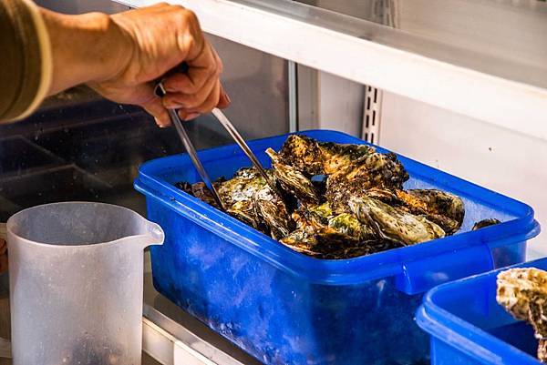 IMG_7686.JPG IMG_7686.JPG