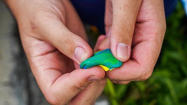 A7_03240.JPG A7_03240.JPG