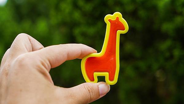 A7_03253.JPG A7_03253.JPG