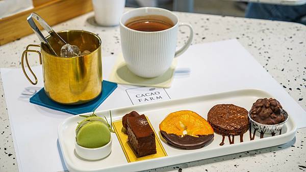 [食記] 屏東內埔 福爾摩莎可可農場