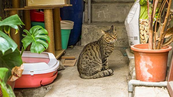 A7_03524.jpg A7_03524.jpg