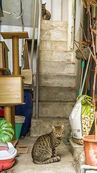 A7_03527.jpg A7_03527.jpg