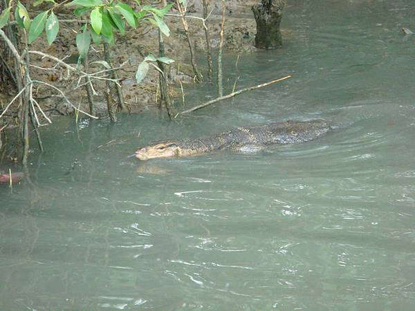 3576馬六甲河遊船_調整大小 .JPG 3576馬六甲河遊船_調整大小 .JPG