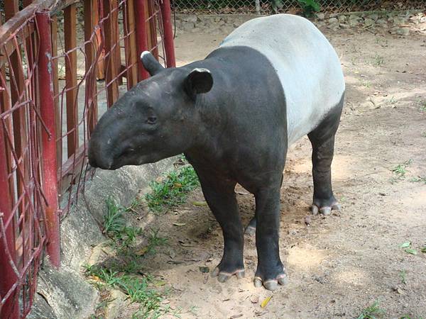 3698愛發摩沙園區_調整大小 .JPG 3698愛發摩沙園區_調整大小 .JPG