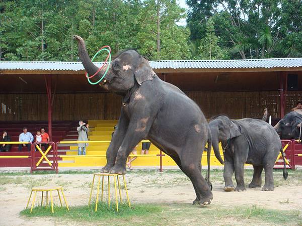 3691愛發摩沙園區_調整大小 .JPG