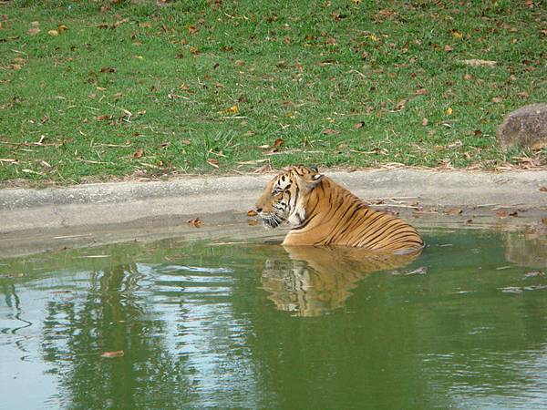 3675愛發摩沙園區_調整大小 .JPG