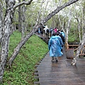 0804長白山步道_調整大小 .JPG