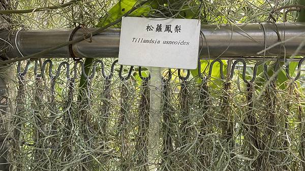 S__3924110_調整大小 .jpg S__3924110_調整大小 .jpg