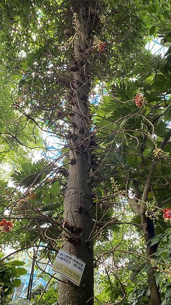 S__3924093_調整大小 .jpg S__3924093_調整大小 .jpg