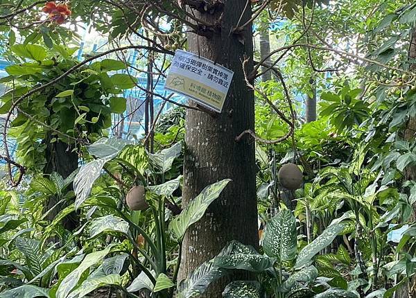 (未設定標題) (未設定標題)