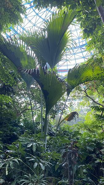 S__3924100_調整大小 .jpg S__3924100_調整大小 .jpg