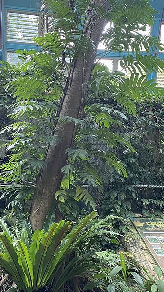 S__3924077_調整大小 .jpg S__3924077_調整大小 .jpg