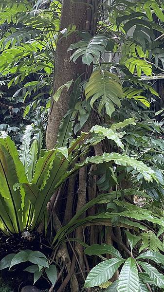 S__3924078_調整大小 .jpg S__3924078_調整大小 .jpg