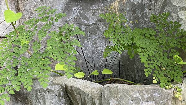 S__3924082_調整大小 .jpg S__3924082_調整大小 .jpg