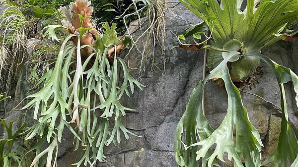 S__3924086_調整大小 .jpg S__3924086_調整大小 .jpg