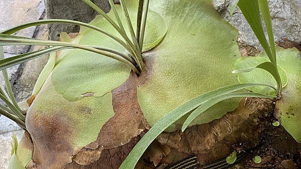 S__3924084_調整大小 .jpg S__3924084_調整大小 .jpg