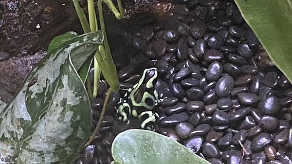 S__3924029_調整大小 .jpg S__3924029_調整大小 .jpg