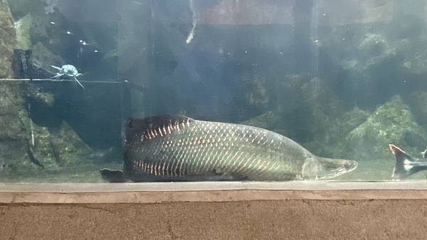 S__3924050_調整大小 .jpg S__3924050_調整大小 .jpg