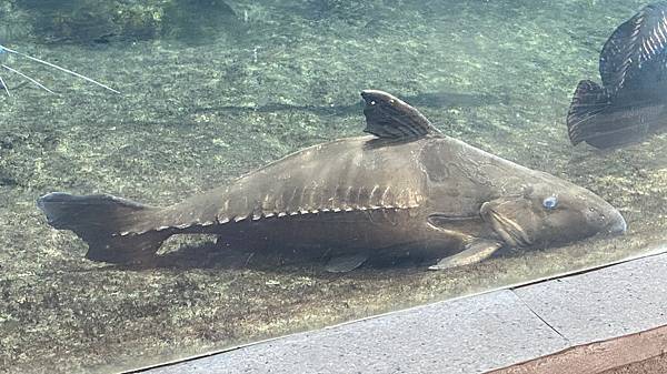 S__3924048_調整大小 .jpg S__3924048_調整大小 .jpg