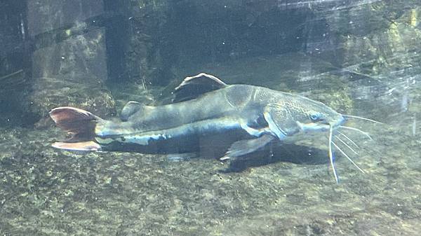 S__3924044_調整大小 .jpg S__3924044_調整大小 .jpg