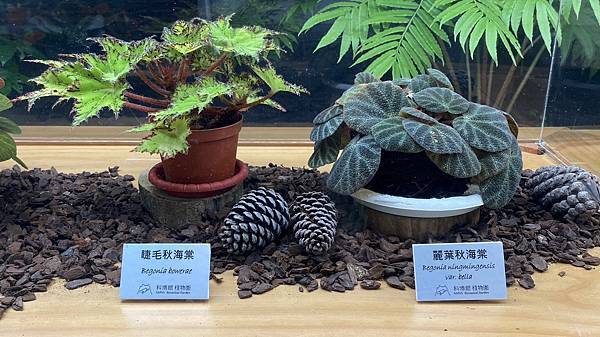 S__3924039_調整大小 .jpg S__3924039_調整大小 .jpg