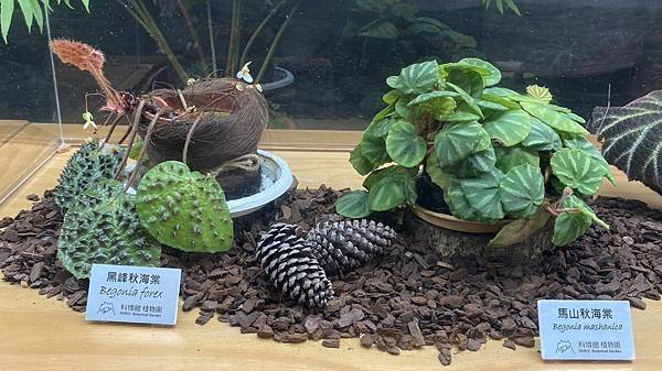 S__3924042_調整大小 .jpg S__3924042_調整大小 .jpg