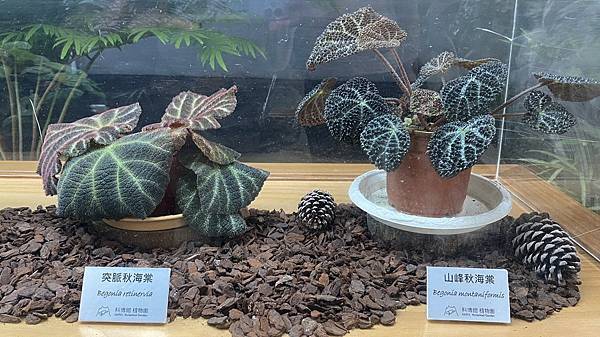 S__3924040_調整大小 .jpg S__3924040_調整大小 .jpg