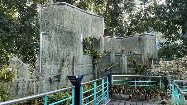 S__3924113_調整大小 .jpg S__3924113_調整大小 .jpg