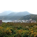 ペシ岬山腹.jpg