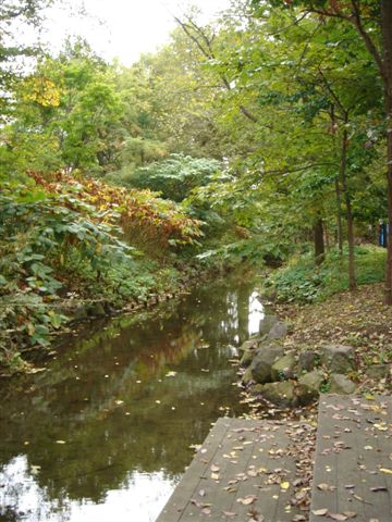 001_北海道大學一景.JPG