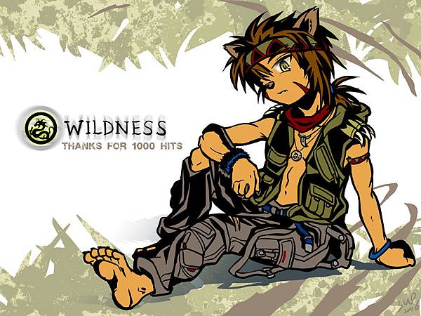 Wildness desktop.jpg