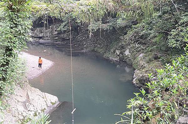 115_金瓜寮溪觀魚蕨類步道.JPG