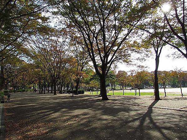 037_白川公園.JPG