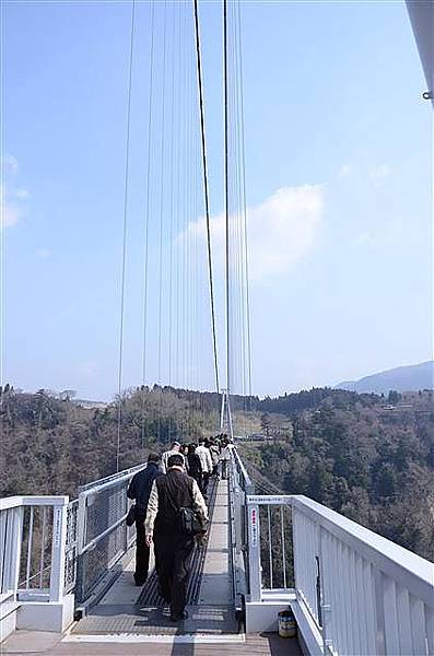 033_九重夢吊橋.JPG