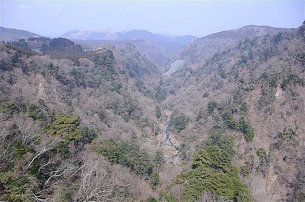 041_九重夢吊橋.JPG