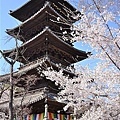 046_興正寺.JPG