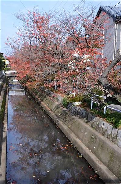 093_街道.JPG 093_街道.JPG