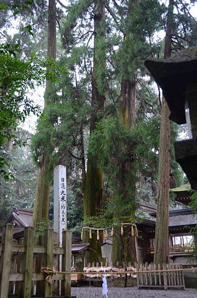 027高千穗神社.JPG