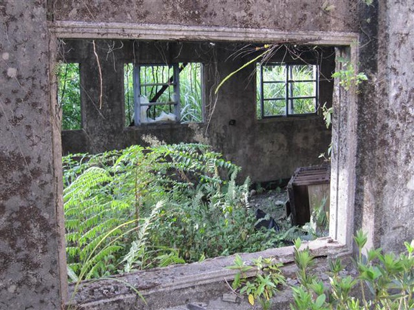 047_廢墟.JPG 047_廢墟.JPG